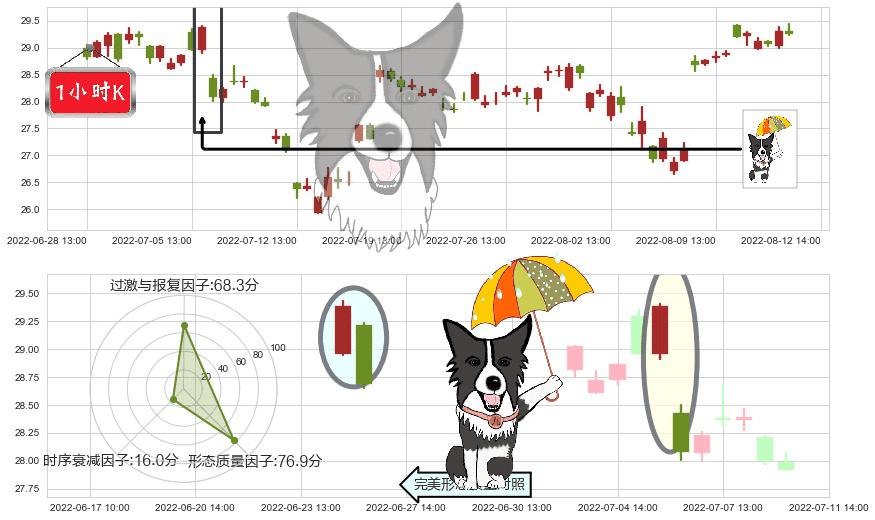 华鲁恒升(sh600426)倾盆大雨K线图-阿布量化