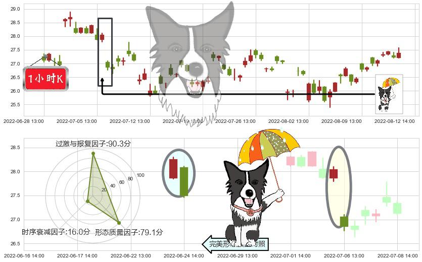 老白干酒(sh600559)倾盆大雨K线图-阿布量化