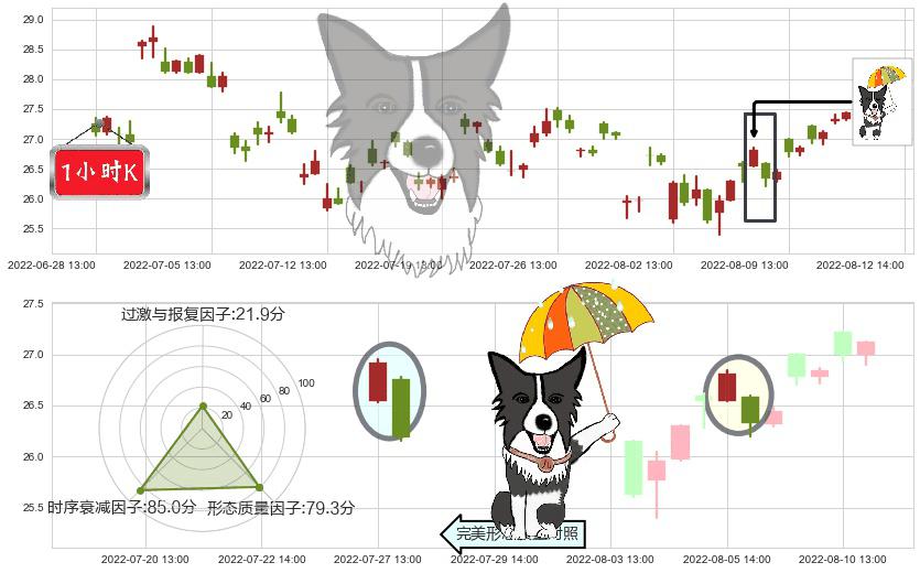 老白干酒(sh600559)倾盆大雨K线图-阿布量化