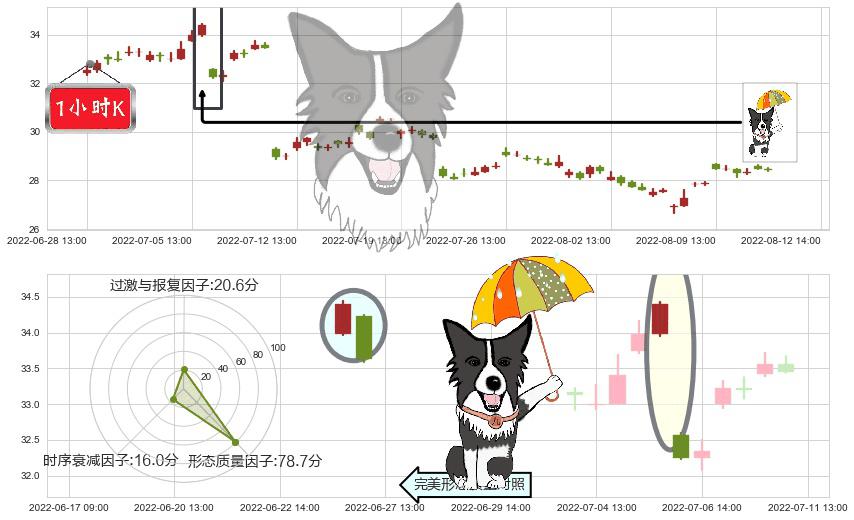中国神华(sh601088)倾盆大雨K线图-阿布量化