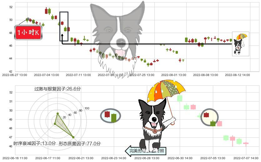 今世缘(sh603369)倾盆大雨K线图-阿布量化