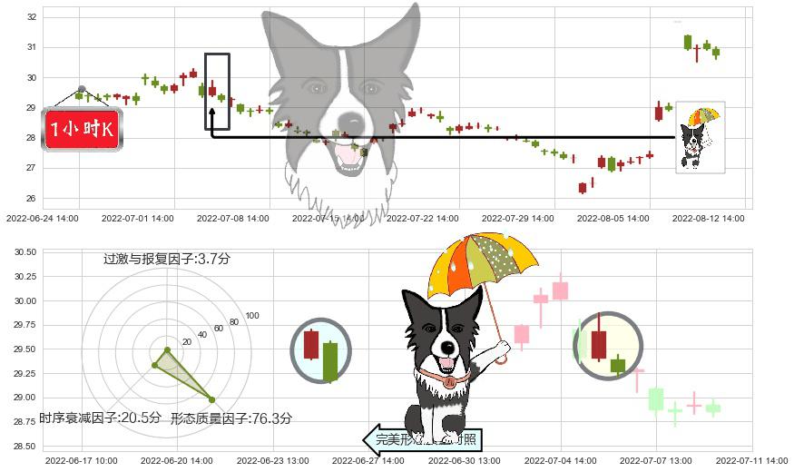 张裕A(sz000869)倾盆大雨K线图-阿布量化