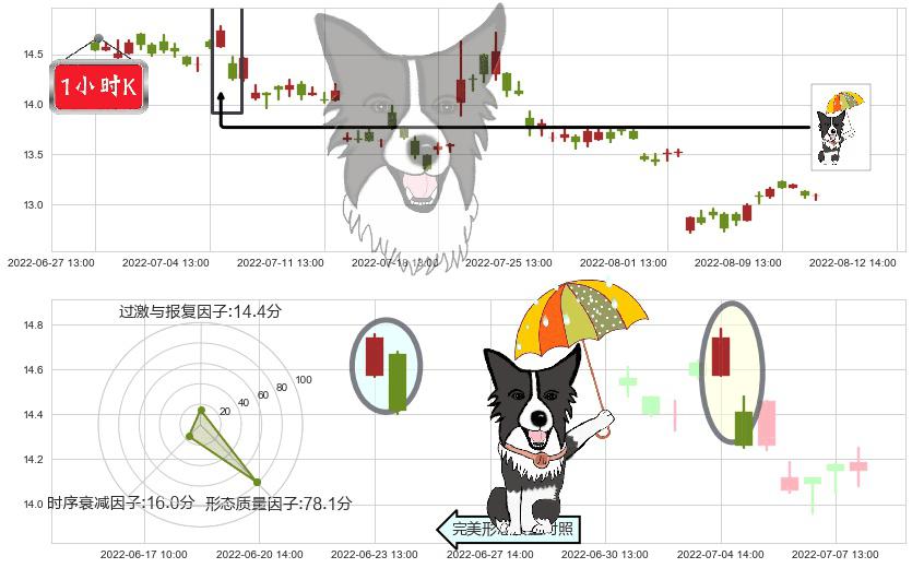 冠昊生物(sz300238)倾盆大雨K线图-阿布量化