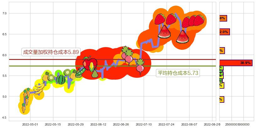 浙大网新(sh600797)持仓成本图-阿布量化