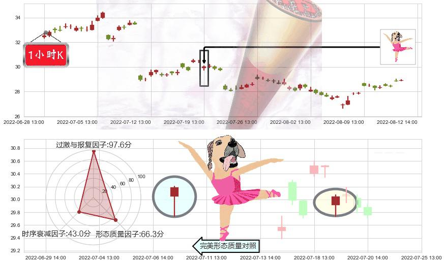 中国神华(sh601088)单针探底（定海神针）K线图-阿布量化