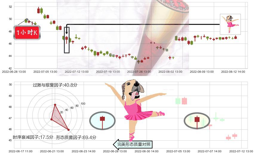 今世缘(sh603369)单针探底（定海神针）K线图-阿布量化