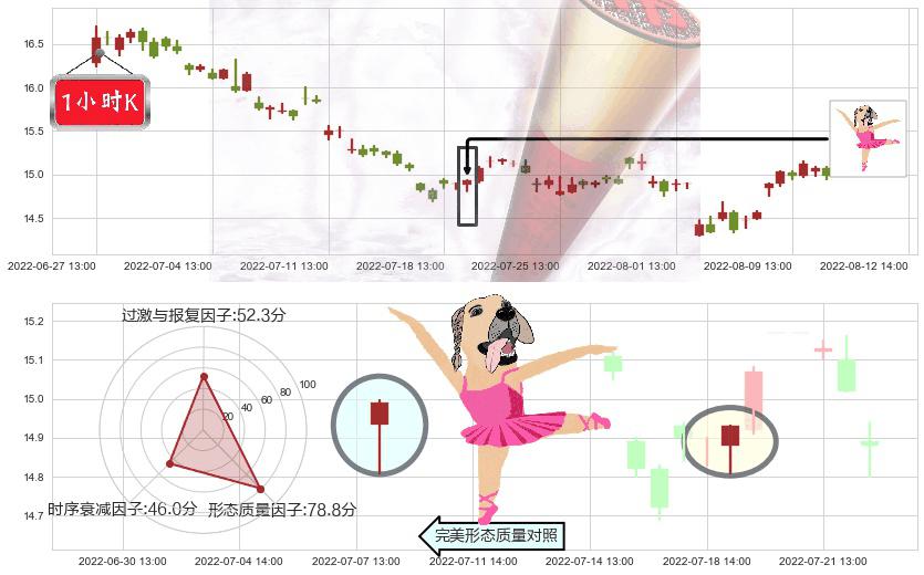 大华股份(sz002236)单针探底（定海神针）K线图-阿布量化