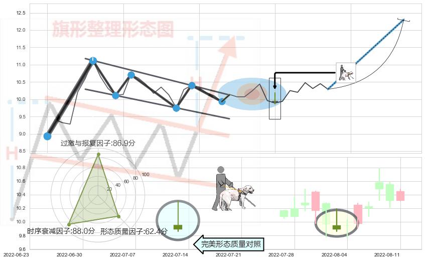 仙人指路 ➕ 突破整理