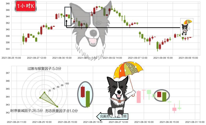 雅诗兰黛(usEL)倾盆大雨K线图-阿布量化