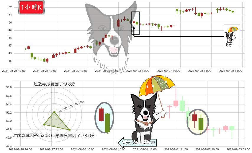 华住(usHTHT)倾盆大雨K线图-阿布量化