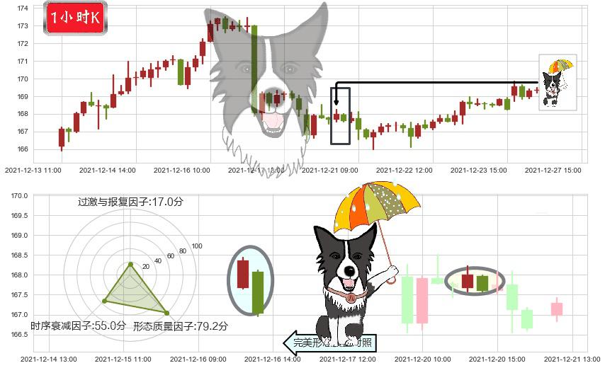 强生(usJNJ)倾盆大雨K线图-阿布量化