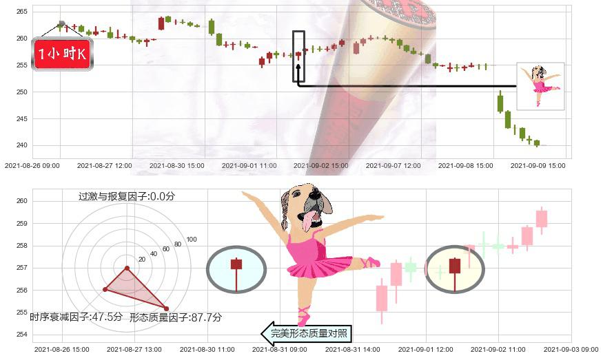 礼来(usLLY)单针探底（定海神针）K线图-阿布量化