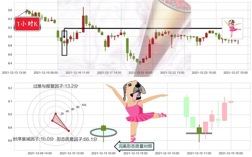 陌陌(usMOMO)单针探底（定海神针）K线图-阿布量化