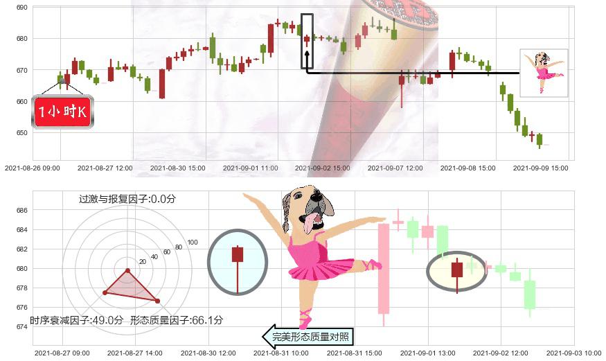 再生元制药(usREGN)单针探底(定海神针)K线图-阿布量化