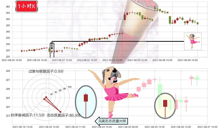 Spotify Technology S.A.(usSPOT)单针探底(定海神针)K线图-阿布量化