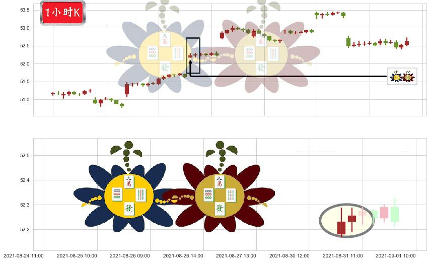 新兴市场ETF-Vanguard(usVWO)高位并排阳线K线图-阿布量化