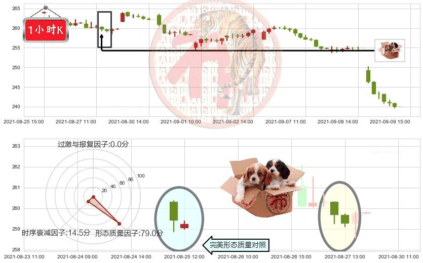 礼来(usLLY)底部尽头线（上山虎）K线图-阿布量化