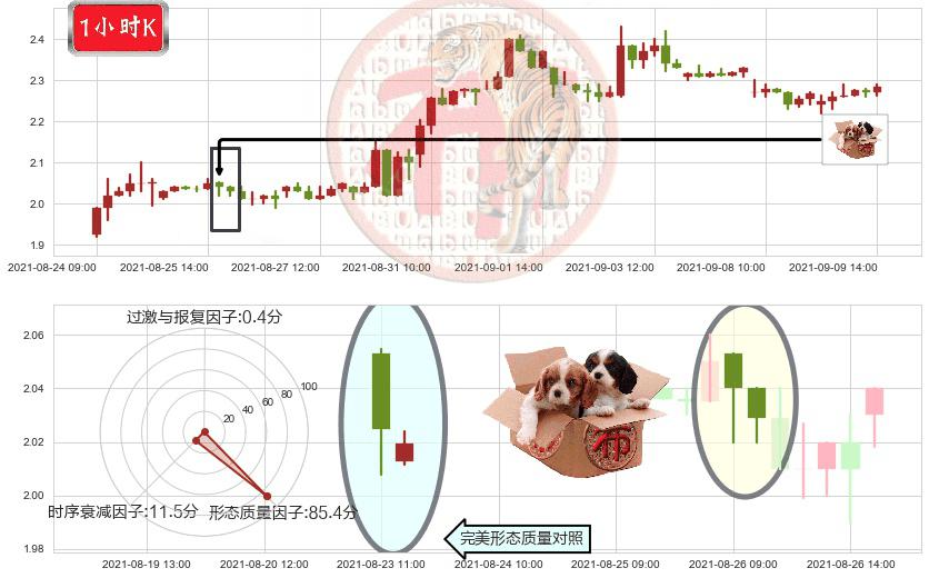 鑫苑置业(usXIN)底部尽头线（上山虎）K线图-阿布量化
