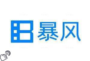 暴风集团logo图-阿布量化