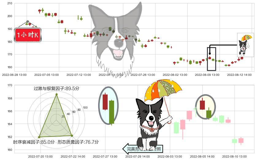 舍得酒业(sh600702)倾盆大雨K线图-阿布量化