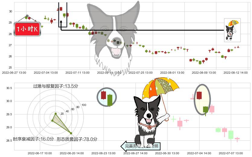 双汇发展(sz000895)倾盆大雨K线图-阿布量化