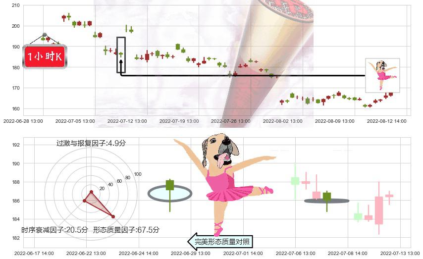 舍得酒业(sh600702)单针探底（定海神针）K线图-阿布量化