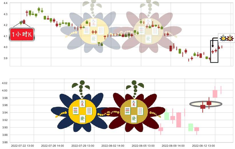 城投控股(sh600649)高位并排阳线K线图-阿布量化