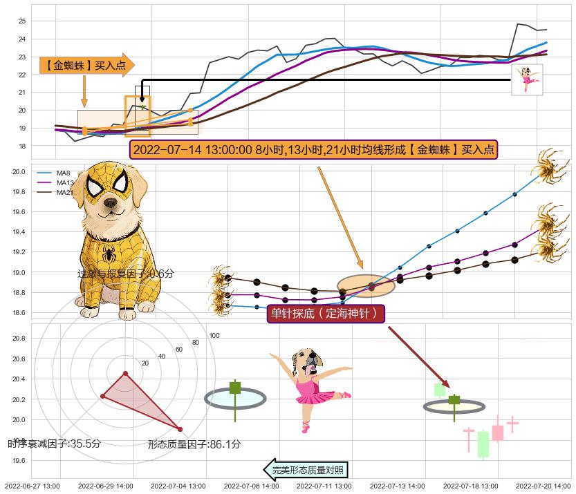 单针探底（定海神针） ➕ 【金蜘蛛】买入点