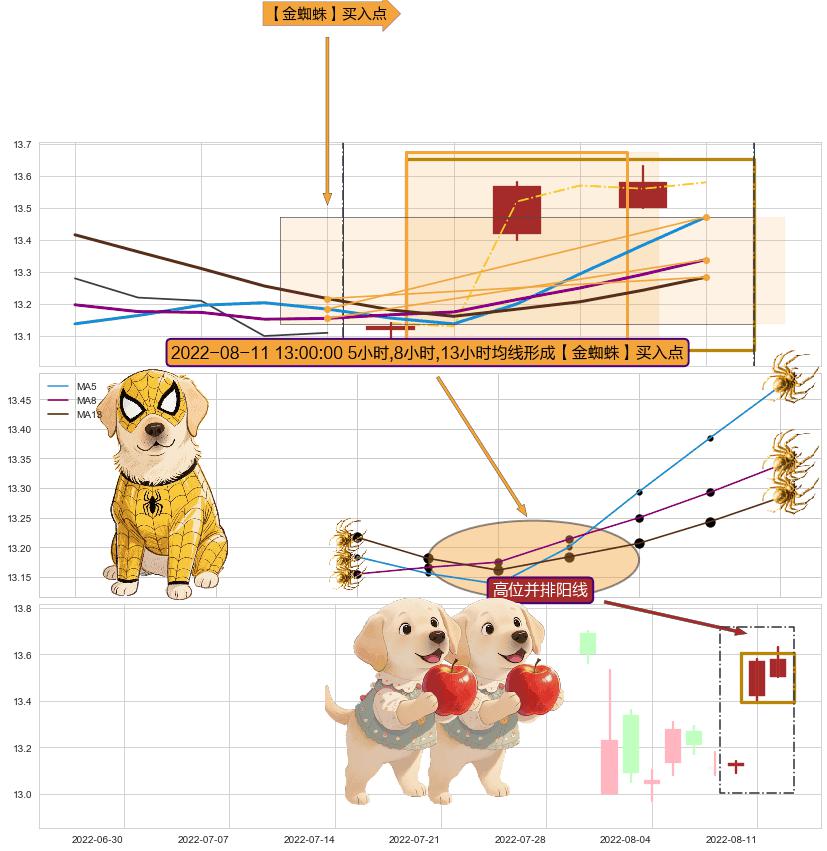 高位并排阳线 ➕ 【金蜘蛛】买入点
