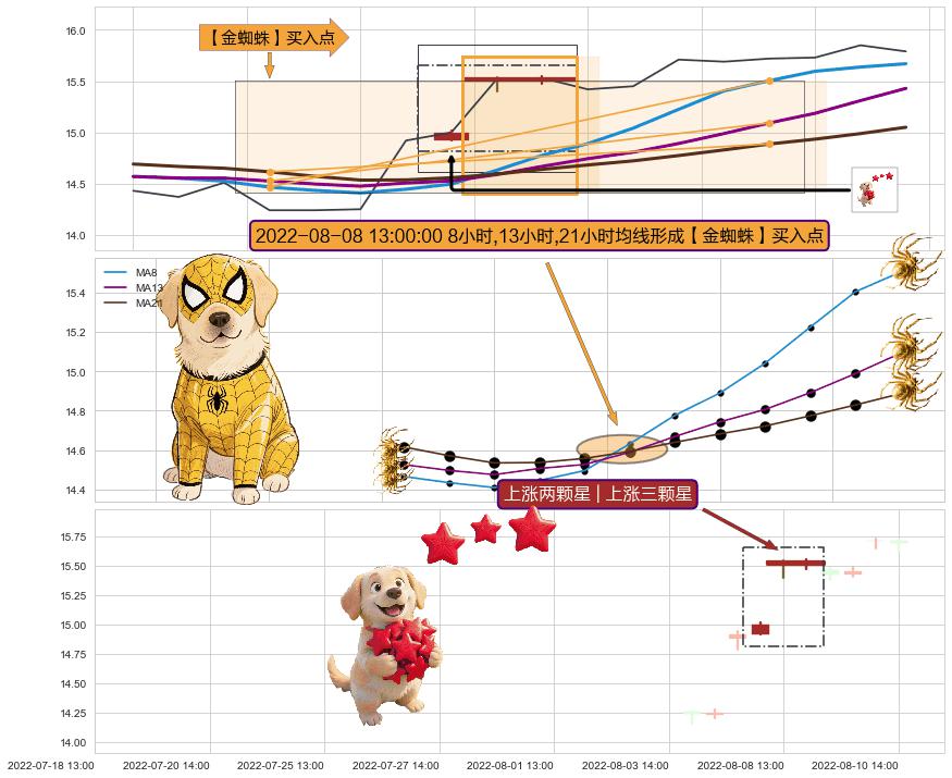上涨两颗星 | 上涨三颗星 ➕ 【金蜘蛛】买入点