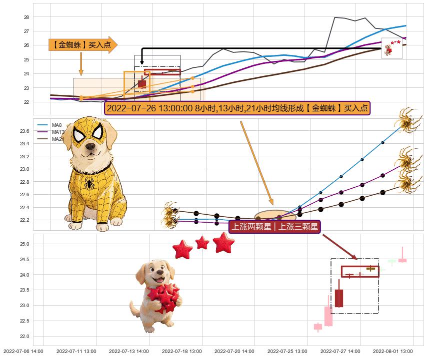 上涨两颗星 | 上涨三颗星 ➕ 【金蜘蛛】买入点