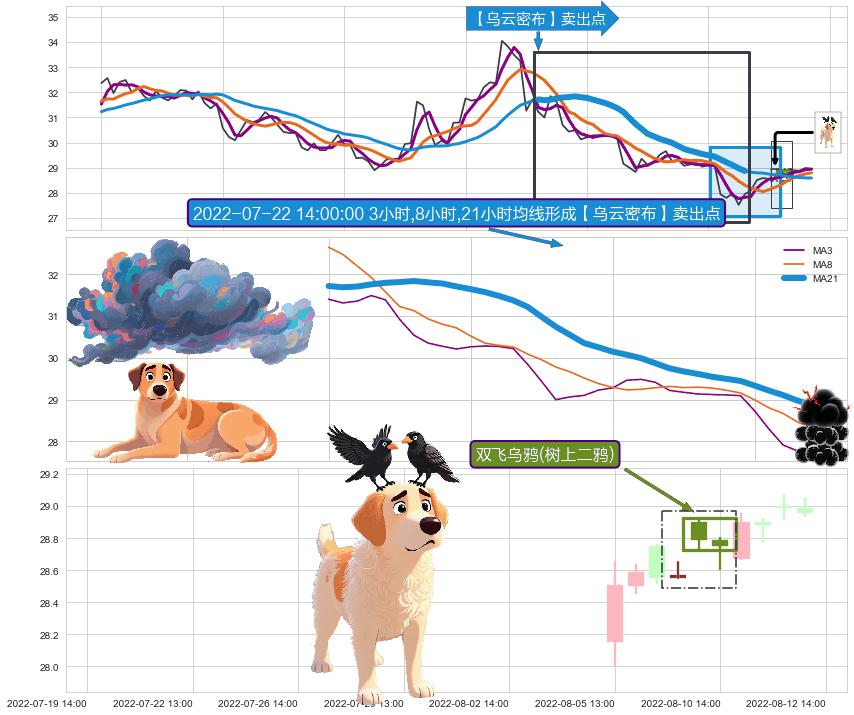 双飞乌鸦(树上二鸦) ➕ 【乌云密布】卖出点