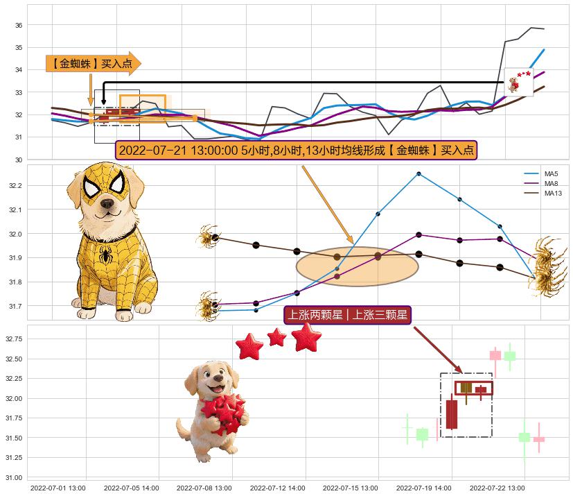 上涨两颗星 | 上涨三颗星 ➕ 【金蜘蛛】买入点