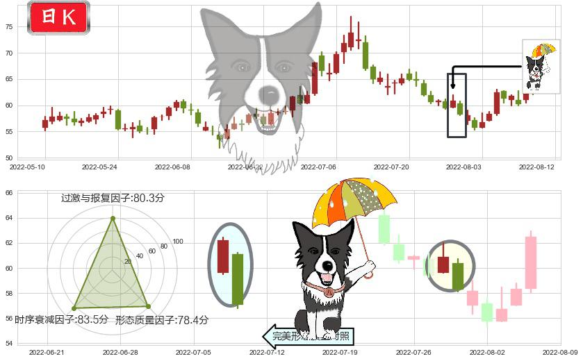汇顶科技(sh603160)倾盆大雨K线图-阿布量化