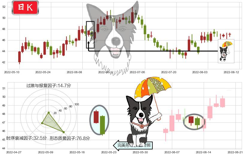 今世缘(sh603369)倾盆大雨K线图-阿布量化