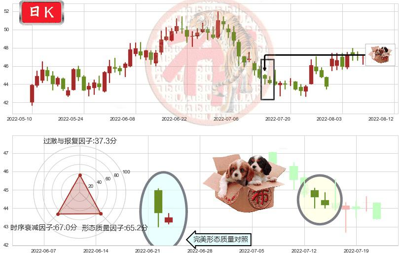 今世缘(sh603369)底部尽头线（上山虎）K线图-阿布量化