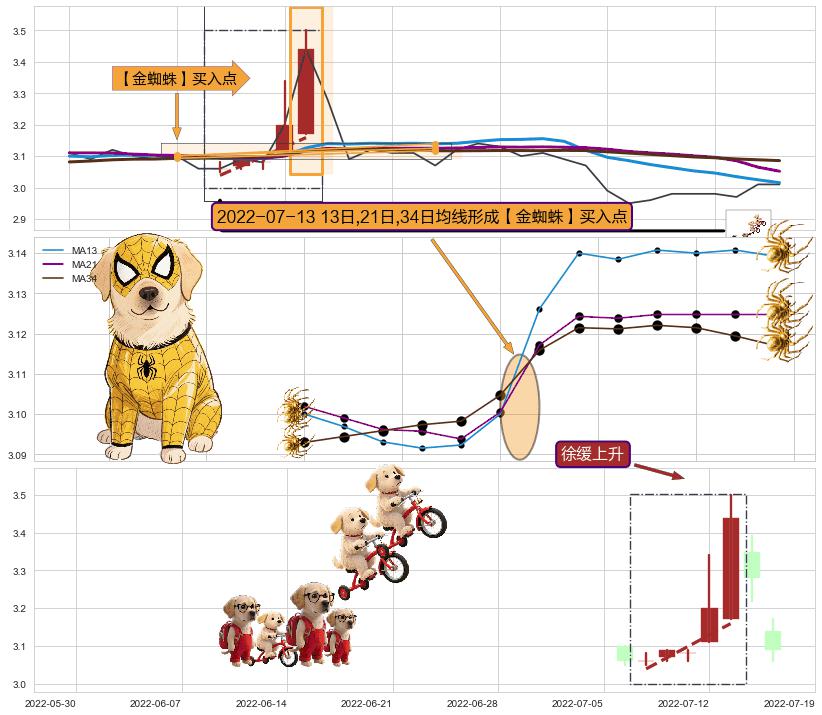 徐缓上升+高位并排阳线 ➕ 【金蜘蛛】买入点
