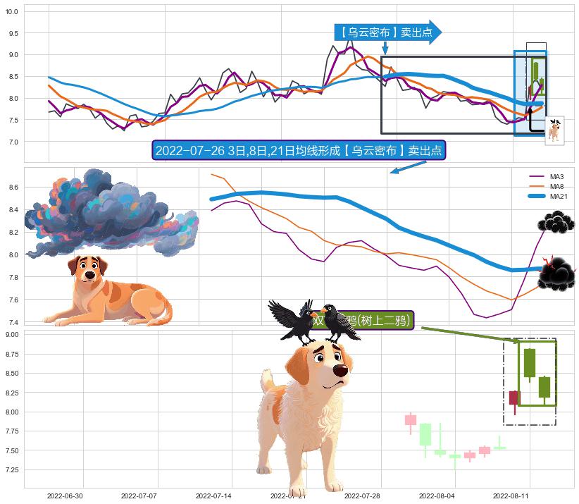 双飞乌鸦(树上二鸦) ➕ 【乌云密布】卖出点