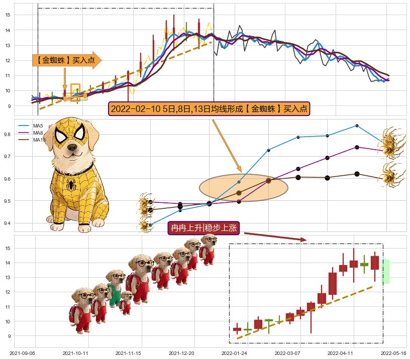 冉冉上升|稳步上涨+锤头线（锤子线） ➕ 【金蜘蛛】买入点
