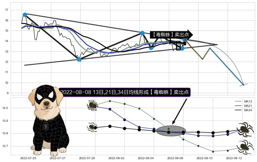 【毒蜘蛛】卖出点 ➕ 突破整理