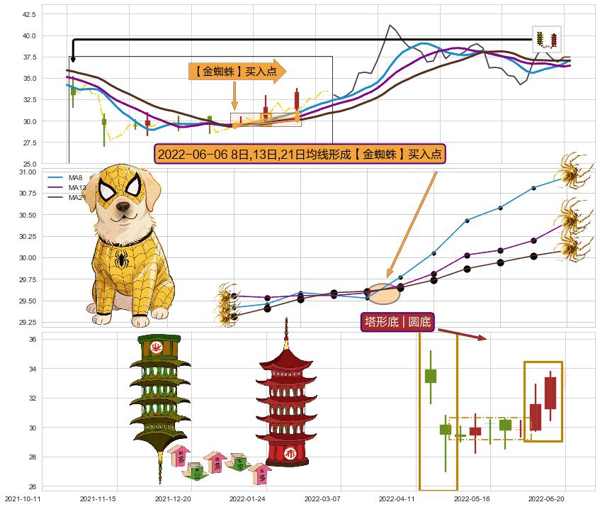 塔形底 | 圆底 ➕ 【金蜘蛛】买入点
