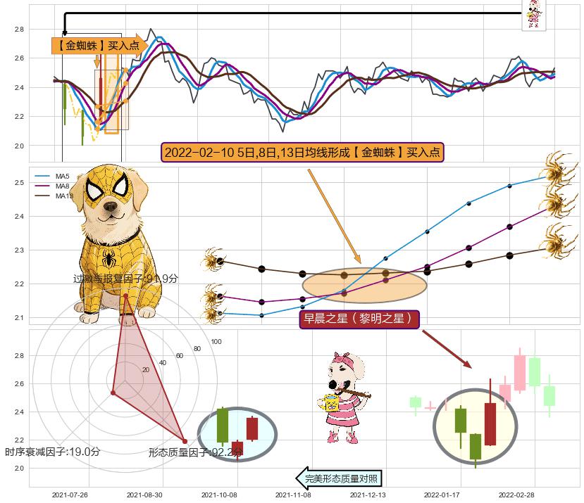 早晨之星（黎明之星） ➕ 【金蜘蛛】买入点