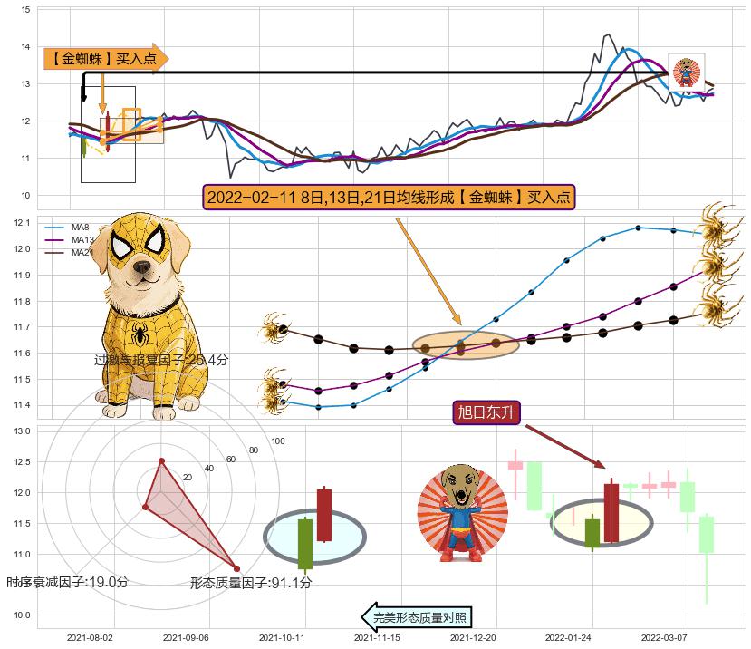 旭日东升 ➕ 【金蜘蛛】买入点