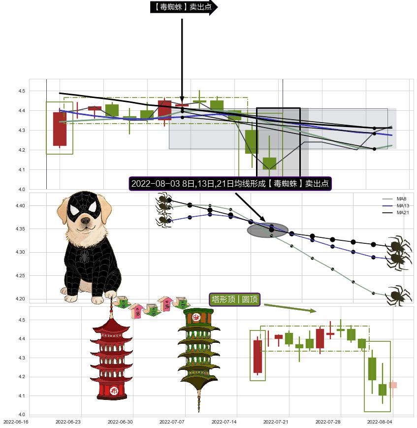 塔形顶 | 圆顶 ➕ 【毒蜘蛛】卖出点
