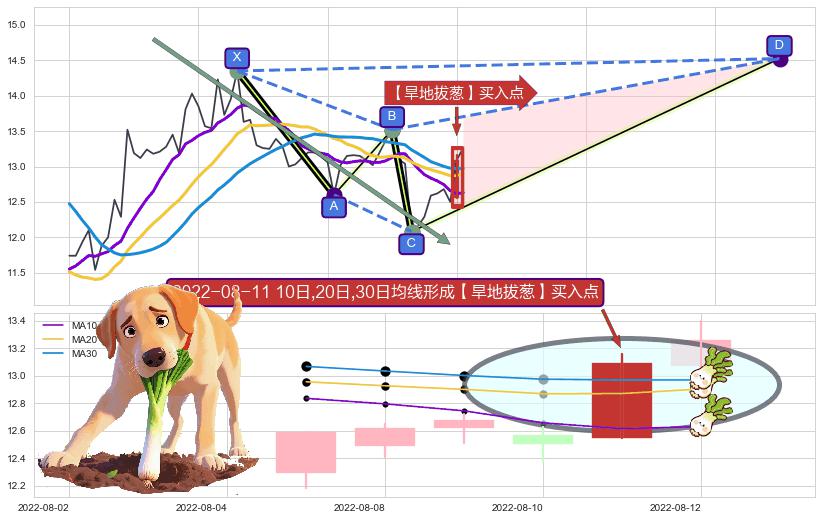 【旱地拔葱】买入点 ➕ 谐波(XABCD)