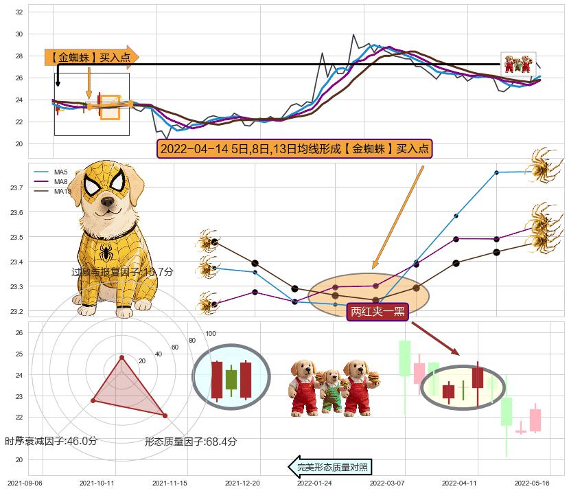 两红夹一黑+双针探底 ➕ 【金蜘蛛】买入点