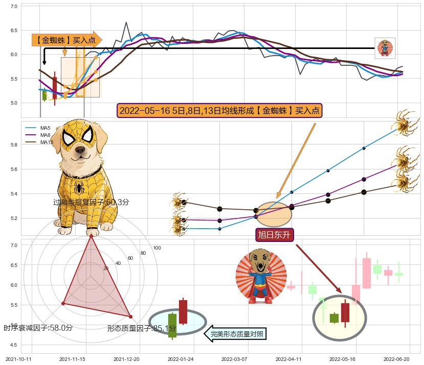 旭日东升 ➕ 【金蜘蛛】买入点