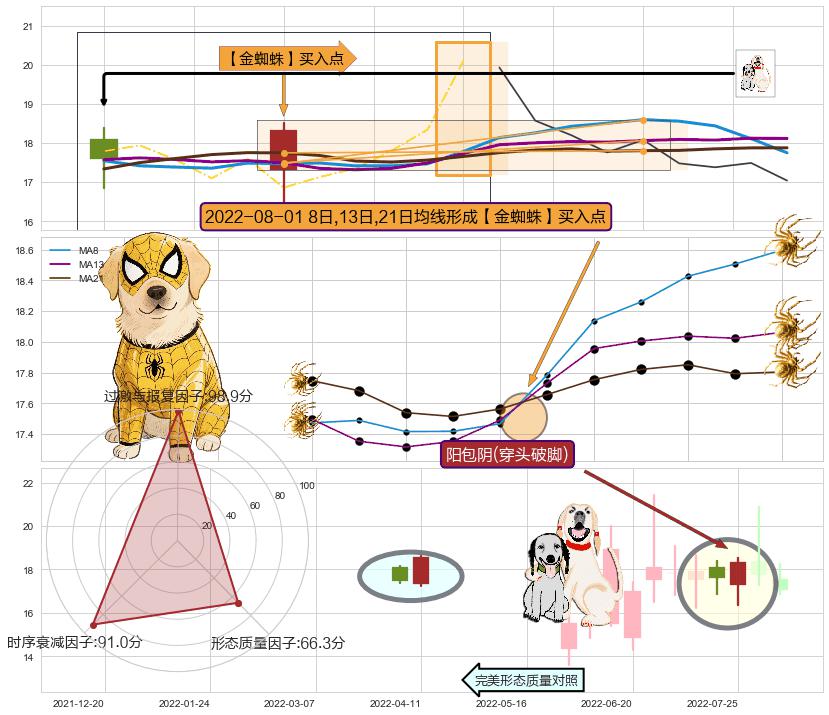 阳包阴(穿头破脚) ➕ 【金蜘蛛】买入点