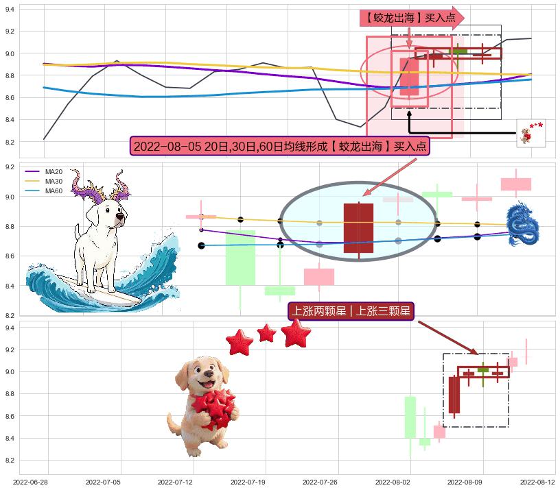 上涨两颗星 | 上涨三颗星 ➕ 【蛟龙出海】买入点