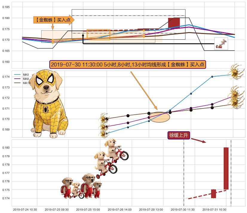 徐缓上升+上涨两颗星 | 上涨三颗星 ➕ 【金蜘蛛】买入点